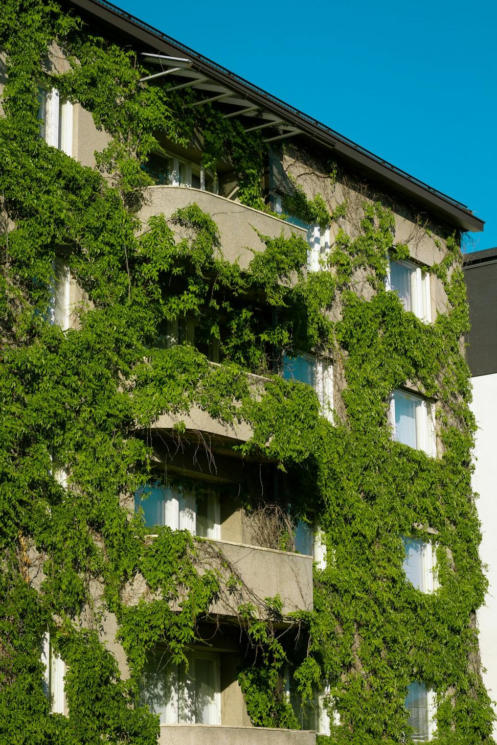 Green building certification